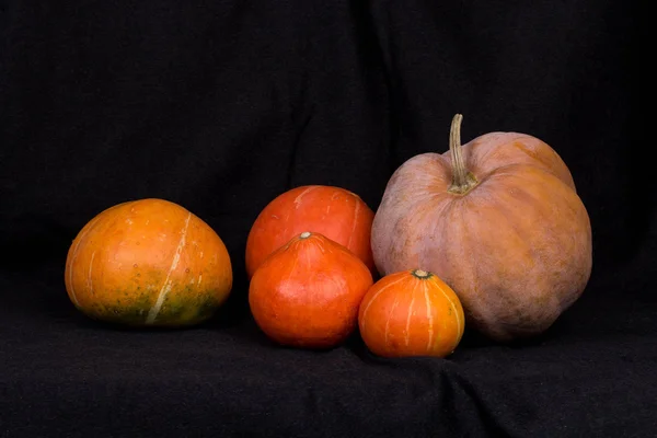 Pumpkins009 —  Fotos de Stock