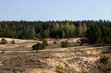 Landscape001