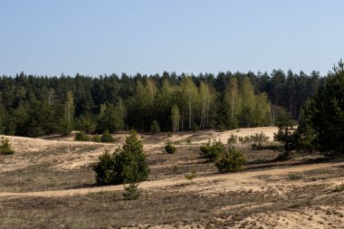 Landscape002