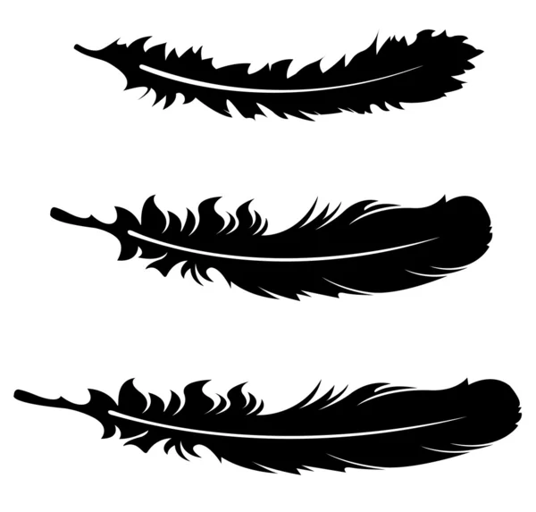 Feather — Stock Vector