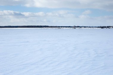 Kış güzel manzarası Ağaç donuyla kaplı ağaçlar