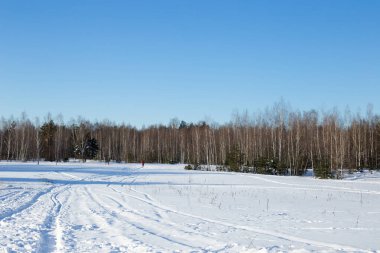 Kış ormanında yol ve ayak izleri