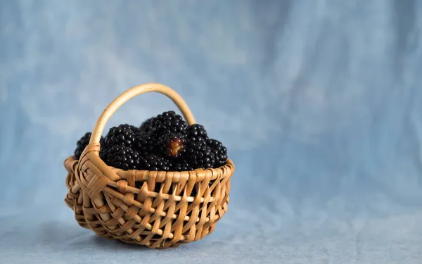 Blackberries Very Tasty Healthy Berry Excellent Delicate Taste — Stock Photo, Image