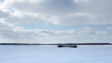 Kış güzel manzarası Ağaç donuyla kaplı ağaçlar