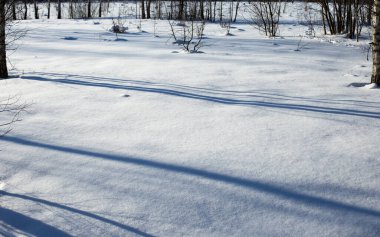 Kış güzel manzarası Ağaç donuyla kaplı ağaçlar
