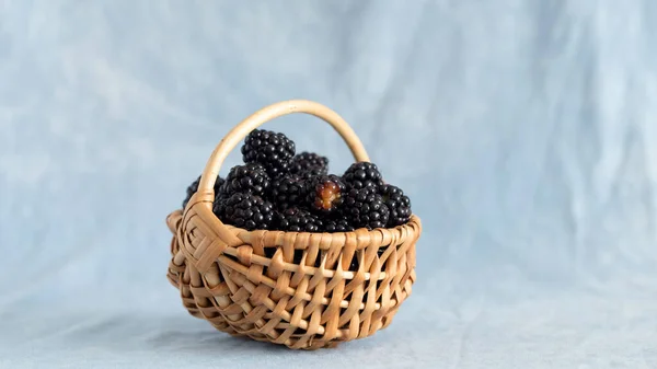 Blackberry with beneficial and healing properties for the whole body — Stock Photo, Image