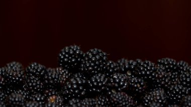 Tüm vücuda yararlı ve iyileştirici özellikleri olan Blackberry.