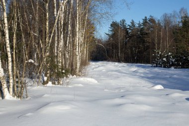 Kış güzel manzarası Ağaç donuyla kaplı ağaçlar