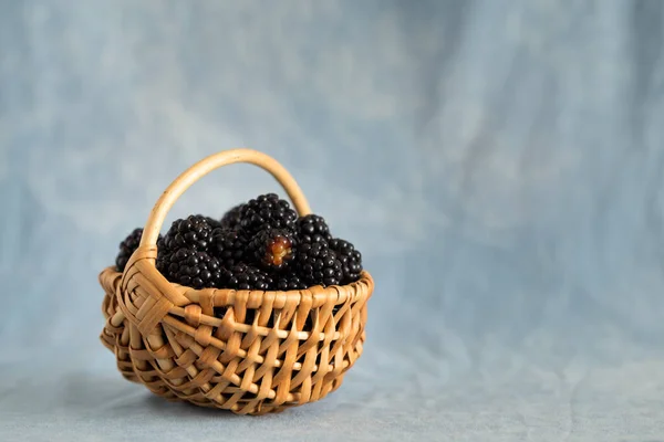 Blackberry con propiedades beneficiosas y curativas para todo el cuerpo — Foto de Stock