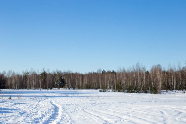 Kış ormanında yol ve ayak izleri