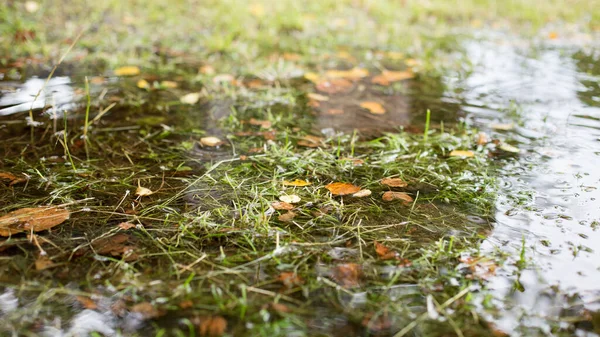Clean and clear water after a spring rain — Stock Photo, Image