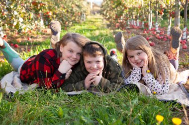 smiling, freckled children laying in a field of apples in the fall together 