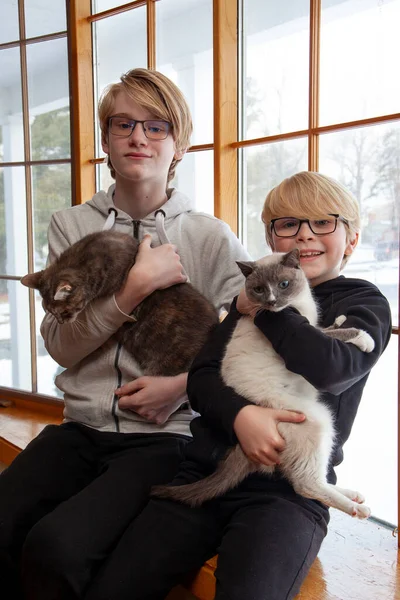 Two Blonde Boys Sitting Windowsill Home Each Holding Pet Feline — стоковое фото