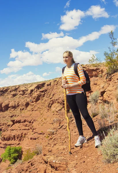 頑丈な砂漠の山々 でのハイキングの女性 — ストック写真