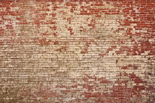 Rustic old brick wall texture — Stock Photo, Image