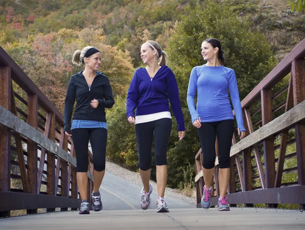 Drie aantrekkelijke jonge vrouwen praten een lopen samen — Stockfoto