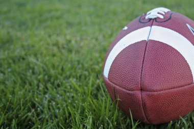 Futbol çimenlerin üzerinde