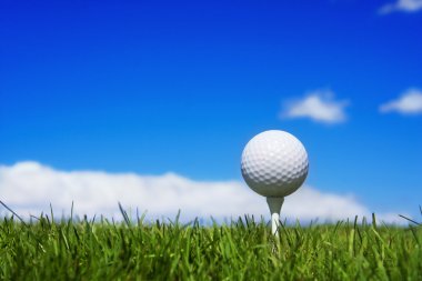 Golf topu sahada.