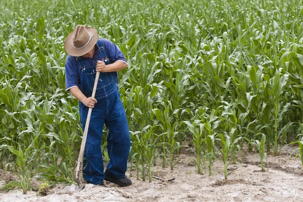 Farmer working — Stock Photo, Image