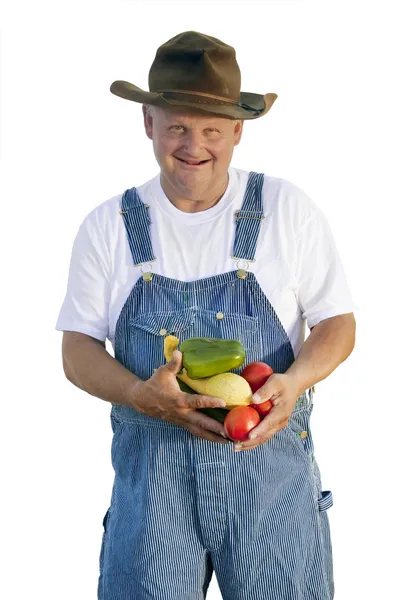 Farmer holding  Vegetables — Stock Photo, Image