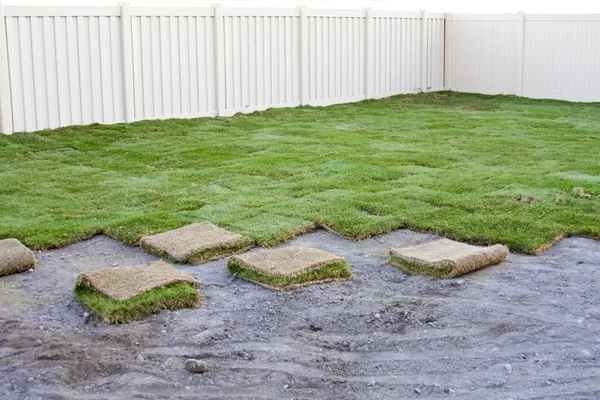 Green turf grass — Stock Photo, Image
