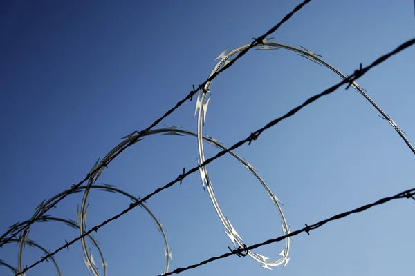 Barbed wire Stock Picture