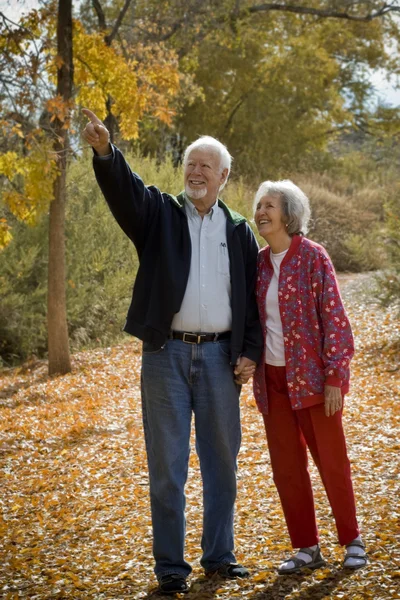 Rentnerpaar zusammen — Stockfoto