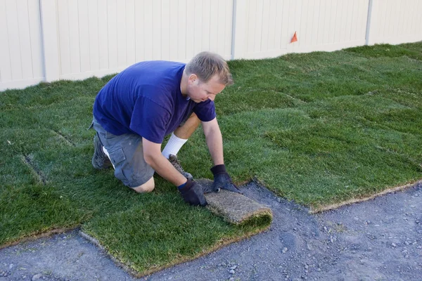 Homme plantant de nouvelles herbes — Photo