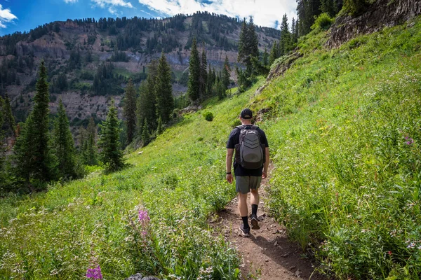 Homem Jovem Caminhando Uma Trilha Montanha Alta Caminhando Direção Cume — Fotografia de Stock