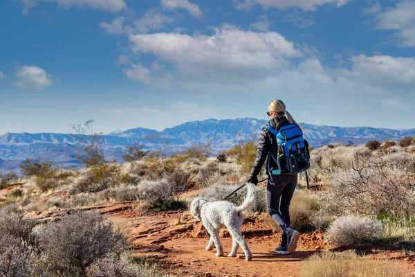 Mujer Caminando Con Perro Las Montañas Rocosas Vista Desde Detrás —  Fotos de Stock