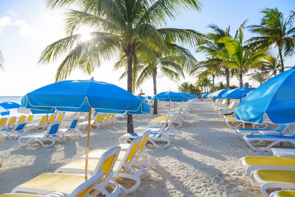 Lounge Chairs Beach Umbrellas Beautiful Beach Resort Empty Beach Area — Stock Photo, Image