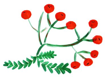 suluboya üvez meyveleri yaprakları ile