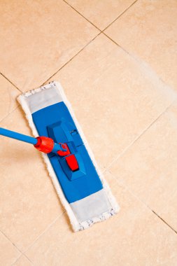 ev temizliği ile paspas