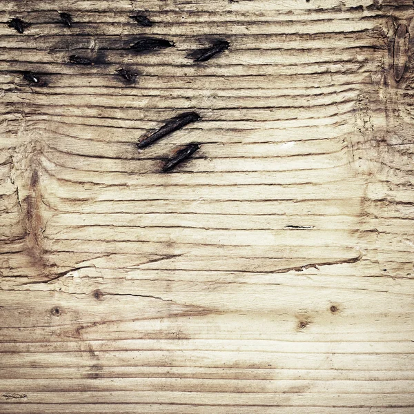 Old wooden board with branch ant rusty nails — Stock Photo, Image