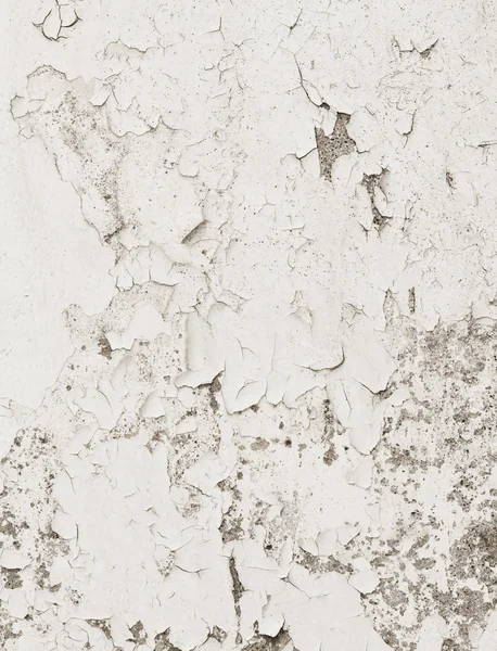 White concrete wall background — Stock Photo, Image