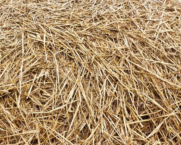 Dray hay stack background — Stock Photo, Image