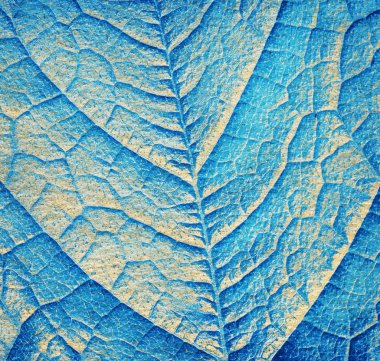 Mavi yaprak doku, arka kapatmak