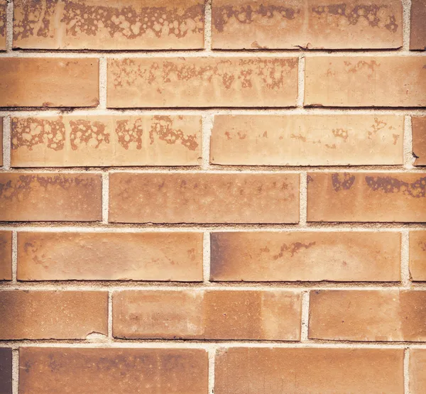 Brick brown wall texture — Stock Photo, Image