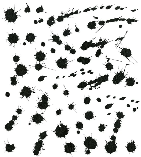 Set of various ink splatter — Stock Photo, Image