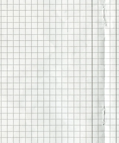 Blank math paper — Stock Photo, Image