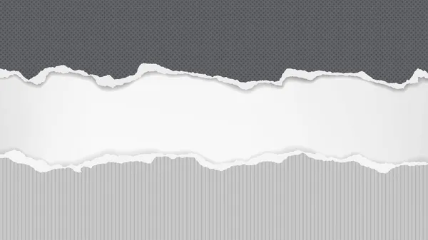 Noktalı siyah ve çizgili gri kağıt şeritli, yazı, reklam veya tasarım için beyaz zemin üzerinde. Vektör illüstrasyonu — Stok Vektör