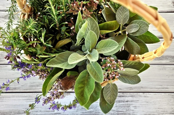 Basket with herbs — Stock Photo, Image