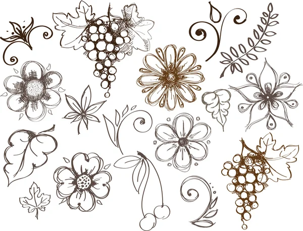 Conjunto de elementos de diseño, flora — Archivo Imágenes Vectoriales