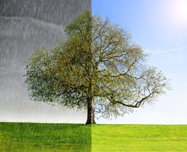 yağmur vs güneş kavramı