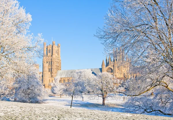 Ely cathedral in sunny winter day — Stock Photo, Image