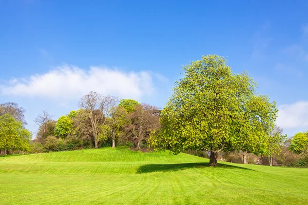 Rural Landscape — Stock Photo, Image