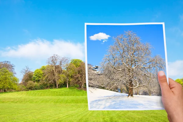 In memory about winter — Stock Photo, Image