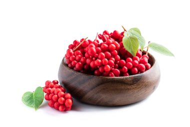 Schisandra chinensis böğürtlenleri beyaz kasede izole edilmiş. 