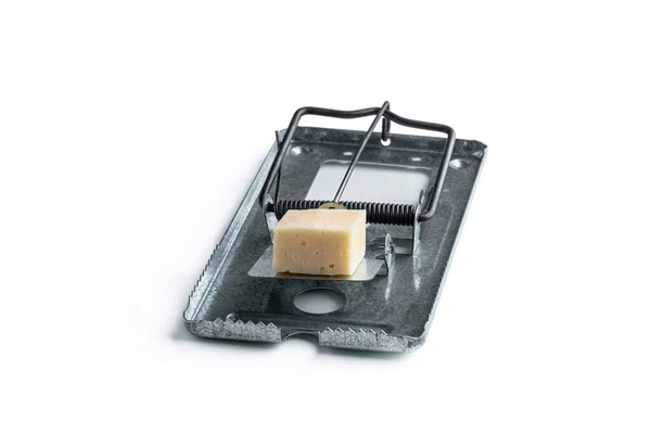 Çelik Fare Fare Kapanı Beyaz Üzerinde Bir Parça Peynir Yemi — Stok fotoğraf