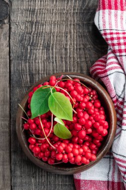 Schisandra chinensis meyveleri ahşap kasede kırsal masada. 